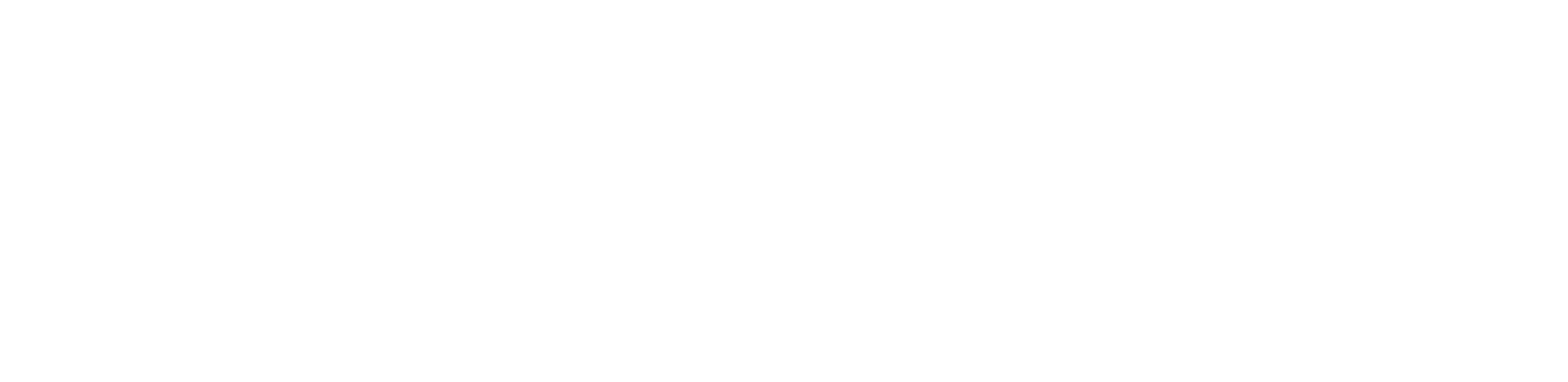 BIOCLINICO_ENDOSSO 100 ANOS_BRANCO (1).png